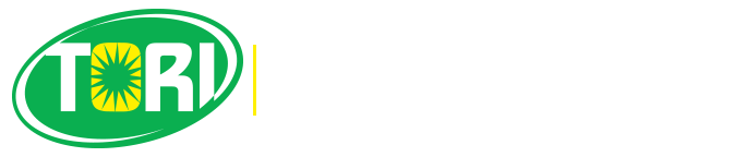 Pumpkin Seed Milk