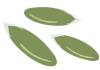 pumpkin-seed